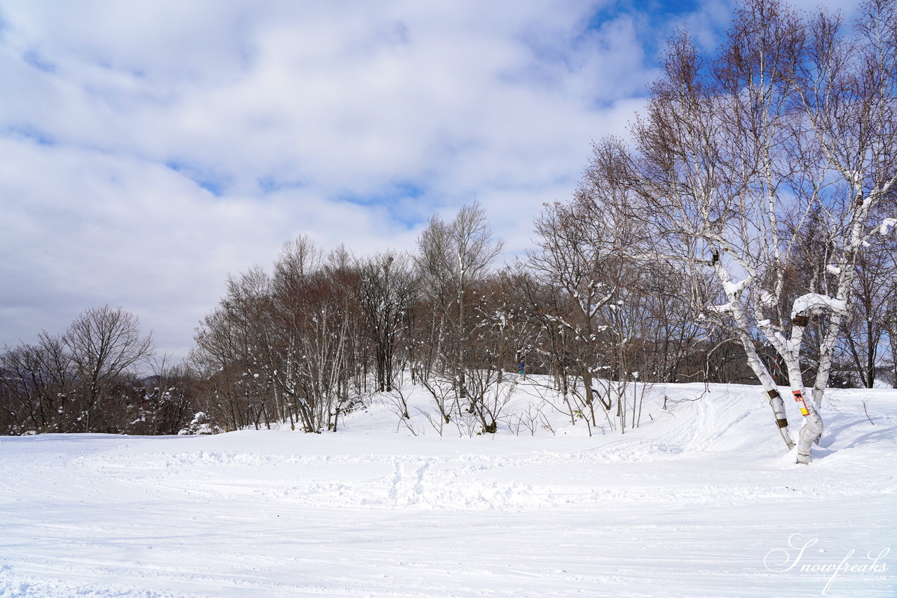 札幌藻岩山スキー場 ゲレンデの積雪は今季最深の125cm！コンディション良好で素晴らしいスキー日和に♪